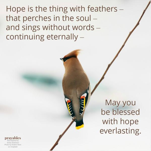 Hope is the thing with feathers – that perches in the soul – and sings without words – continuing eternally. May you be blessed with hope everlasting.