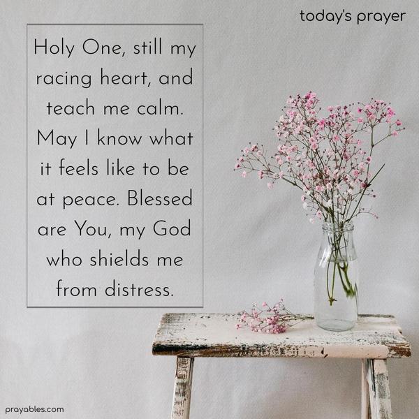 Holy One, still my racing heart, and teach me calm. May I know what it feels like to be at peace. Blessed are You, my God who shields me from distress.