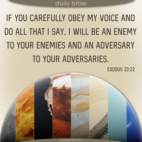 If you carefully obey my voice and do all that I say, I will be an enemy to your enemies and an adversary to your adversaries. Exodus 23:22