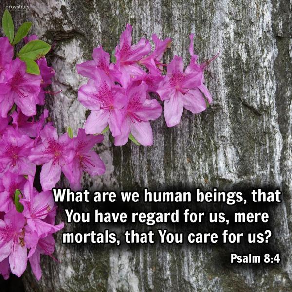 Psalm 8:4 What are we human beings, that You have regard for us, mere mortals, that you care for us?