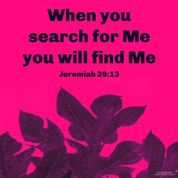 Jeremiah 29:13 When you search for Me, you will find Me.