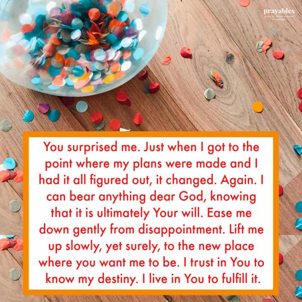 You surprised me. Just when I got to the point where my plans were made and I had it all figured out, it changed. Again. I can bear anything dear God, knowing that it is
ultimately Your will. Ease me down gently from disappointment. Lift me up slowly, yet surely, to the new place where you want me to be. I trust in You to know my destiny. I live in You to fulfill it.