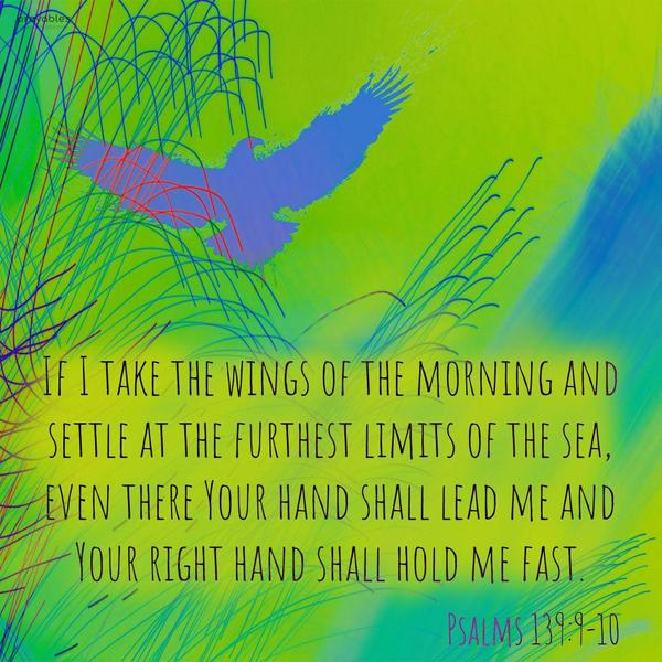 Psalms 139:9-10 If I take the wings of the morning and settle at the furthest limits of the sea, even there Your hand shall lead me and Your right hand
shall hold me fast.