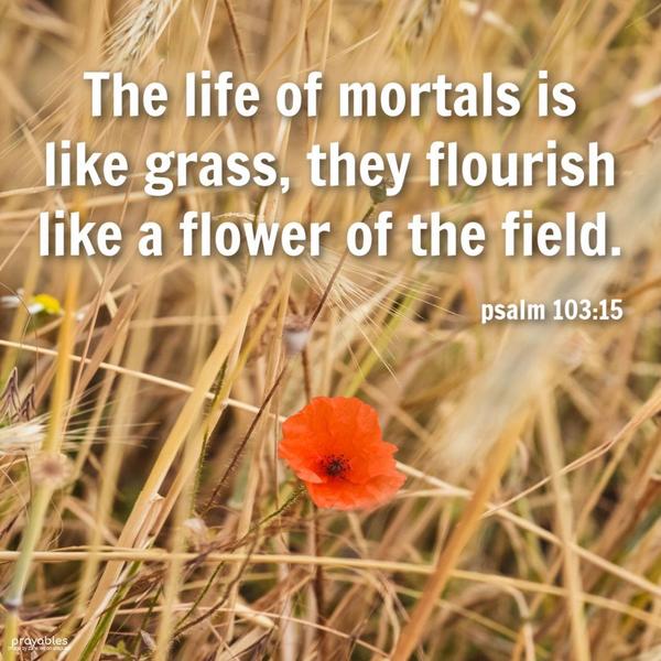 Psalm 103:15 The life of mortals is like grass, and they flourish like a flower of the field.