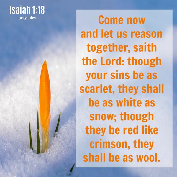 Isaiah 1:18 Come now and let is reason together, saith the Lord: though your sins be as scarlet, they shall be as white as snow; though they be red like crimson, they shall
be as wool.