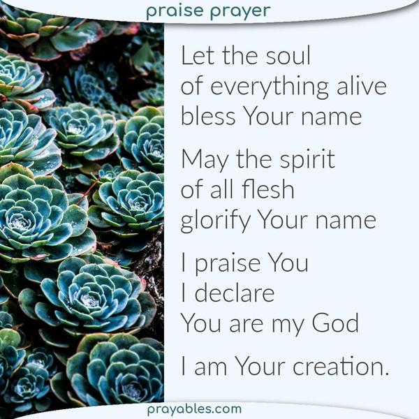 Let the soul of everything alive bless Your name. May the spirit of all flesh glorify and lift up Your name. I praise Your name and declare: You are my God,
I am Your creation.
