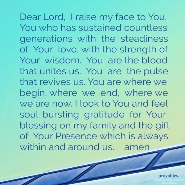 Dear Lord, I raise my face to You. You who has sustained countless generations with the steadiness of Your love, with the strength of Your wisdom. You are the blood that unites us. You are the pulse that revives us. You are where we
begin, where we end, where we we are now. I look to You and feel soul-bursting gratitude for Your blessing on my family and the gift of Your Presence which is always within and around us. amen