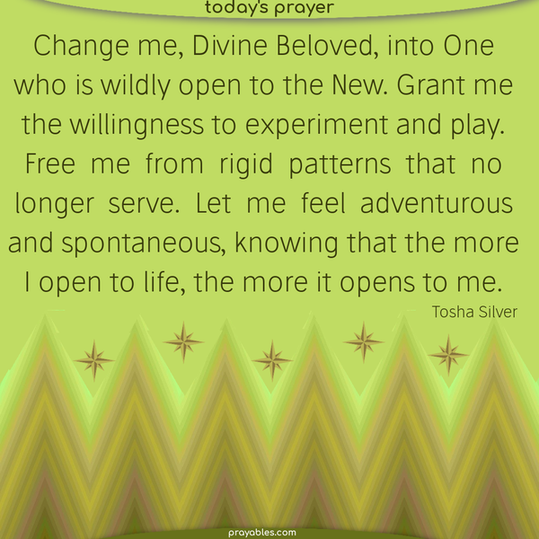 Change me, Divine Beloved, into One who is wildly open to the New. Grant me the willingness to experiment and play. Free me from rigid patterns that no longer serve. Let me feel adventurous and spontaneous, knowing that the more I open to life, the more it opens to me. Tosha Silver