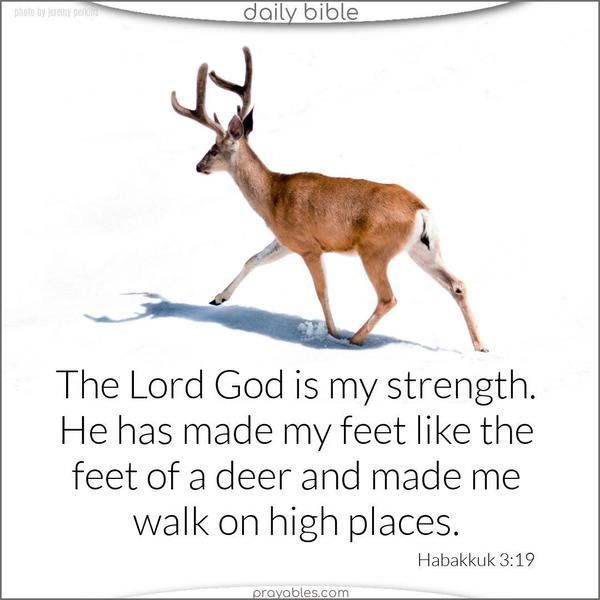 The Lord God is my strength. He has made my feet like the feet of a deer and made me walk on high places. Habakkuk 3:19