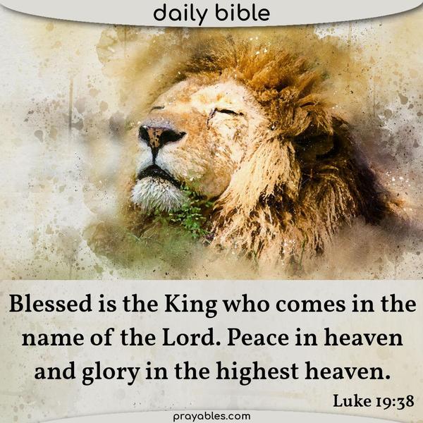 Luke 19:38 Blessed is the King who comes in the name of the Lord. Peace in heaven, and glory in the highest heaven.