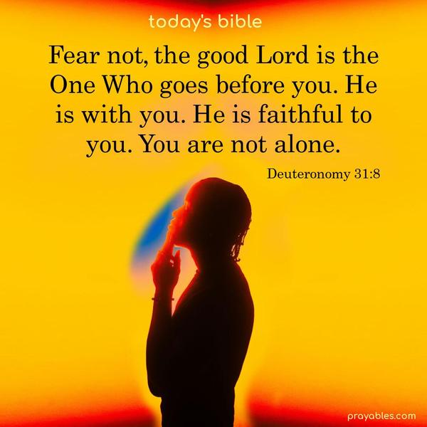 Fear not, the good Lord is the One Who goes before you. He is with you. He is faithful to you and will not leave you alone. Deuteronomy 31:8
