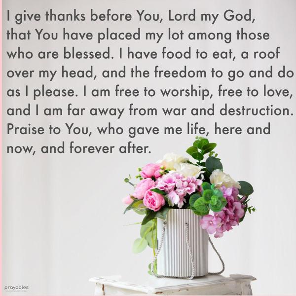 I give thanks before You, Lord my God, that You have placed my lot among those who are blessed. I have food to eat, a roof over my head, and the freedom to go and do as I please. I am free
to worship, free to love, and I am far away from war and destruction. Praise to You, who gave me life, here and now, and forever after.