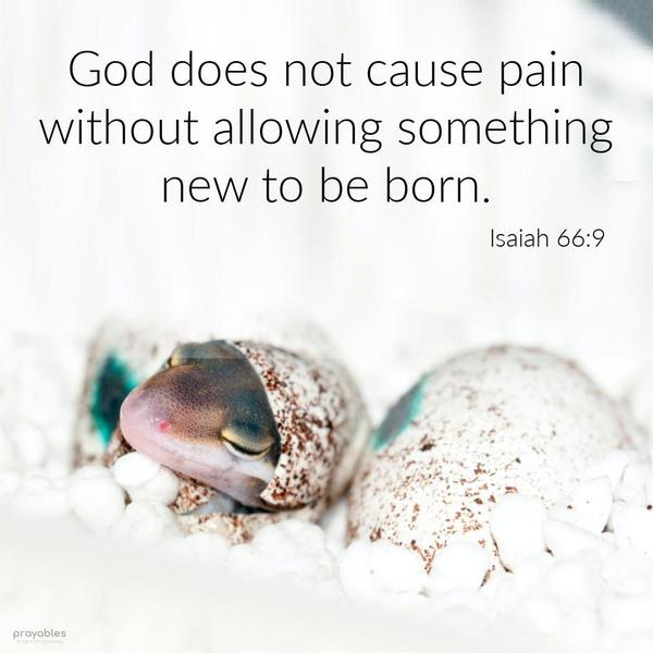 Isaiah 66:9 God does not cause pain without allowing something new to be born.