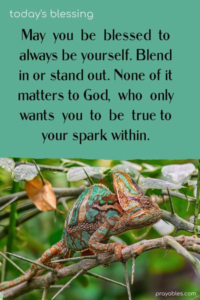 May you be blessed to always be yourself. Blend in or stand out. None of it matters to God, who only wants you to be true to your spark within.