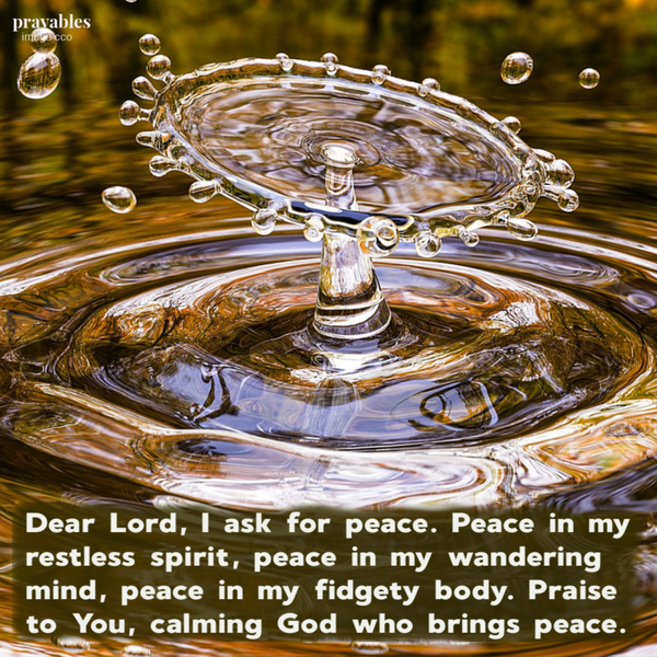 Dear Lord, I ask for peace. Peace in my restless spirit, peace in my wandering mind, peace in my fidgety body. Praise to You, calming God who brings peace.