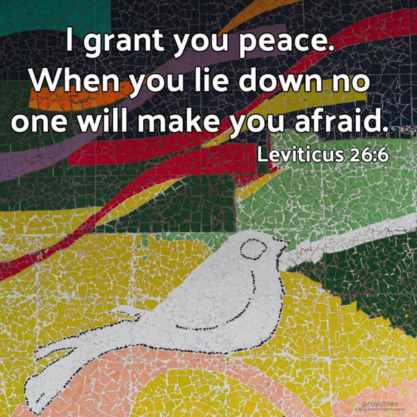 Leviticus 26:6 I grant you peace. When you lie down, no one will make you afraid.