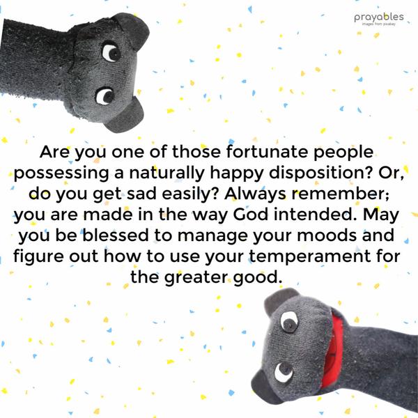 Are you one of those fortunate people possessing a naturally happy disposition? Or, do you get sad easily? Always remember; you are made in
the way God intended. May you be blessed to manage your moods and figure out how to use your temperament for the greater good. 