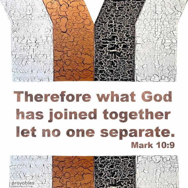 Mark 10:9 Therefore what God has joined together, let no one separate.