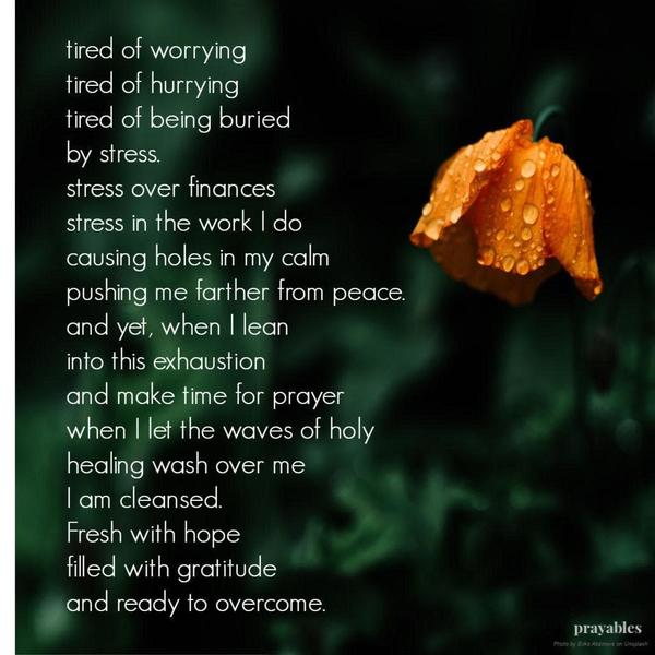 Tired of worrying, tired of hurrying, tired of being buried by stress. Stress over finances, stress in the work I do, causing holes in my calm and pushing me farther from peace. And yet, when I lean into this exhaustion and make time for prayer, when I let the waves of holy healing wash over me, I am cleansed. Fresh with hope, filled with gratitude and
ready to overcome.