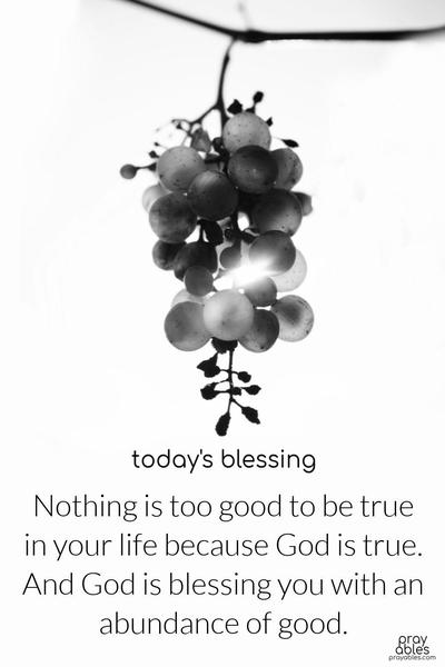 Nothing is too good to be true in your life because God is true. And God is blessing you with an abundance of good.