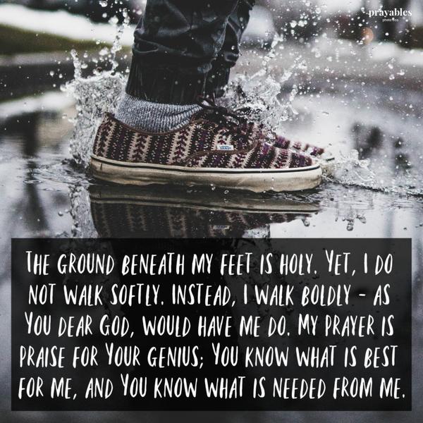 God’s Genius The ground beneath my feet is holy. Yet I do not walk softly, instead I walk boldly as You dear God, would have me do. My prayer is praise for Your genius, You
know what is best for me, and You know what is needed from me.