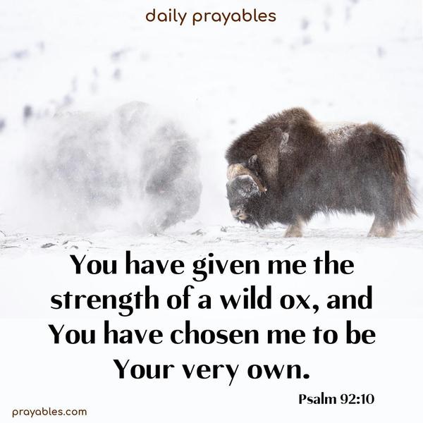 You have given me the strength of a wild ox, and You have chosen me to be Your very own. Psalm 92:10