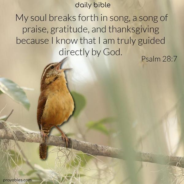 My soul breaks forth in song, a song of praise, gratitude, and thanksgiving because I know that I am truly guided directly by God. Psalm 28:7