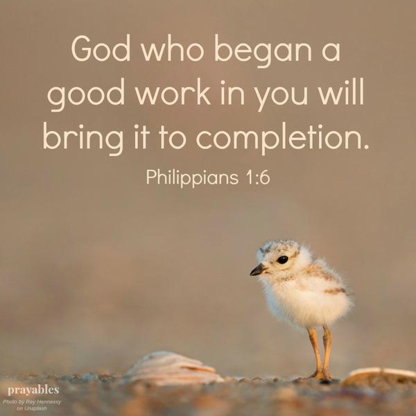 Philippians 1:6 God who began a good work in you will bring it to completion.  I am good and I will be even better. God is not done with me yet.  