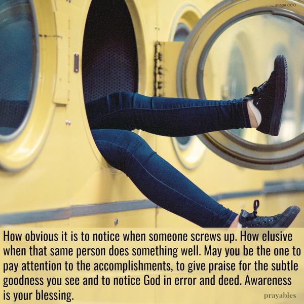 ​​​​​​​How obvious it is to notice when someone screws up. How elusive when that same person does something well. May you be the one to pay attention to the accomplishments, to give praise for the subtle goodness you see and to
notice God in error and deed. Awareness is your blessing.