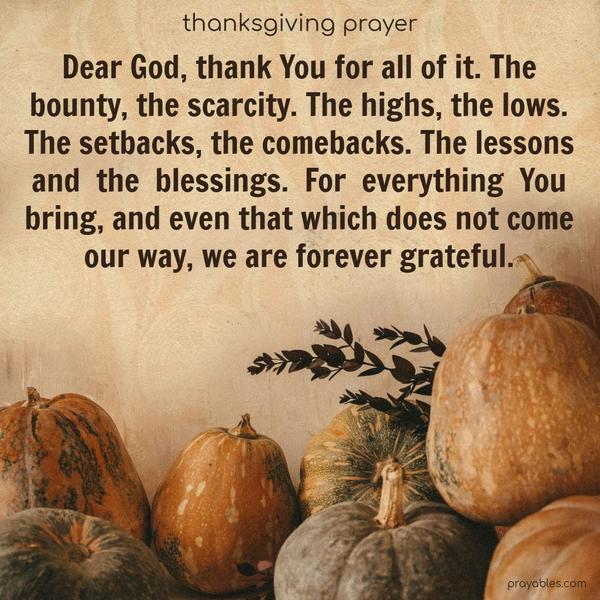 Dear God, thank You for all of it. The bounty, the scarcity. The highs, the lows. The setbacks, the comebacks. The lessons and the blessings. For everything You bring, and even that which does not come our way, we are forever grateful.