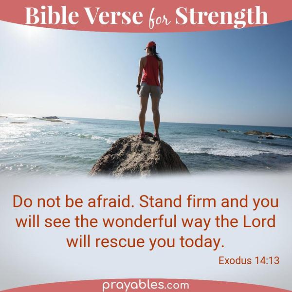 Exodus 14:13 Do not be afraid. Stand firm and you will see the wonderful way the Lord will rescue you today.