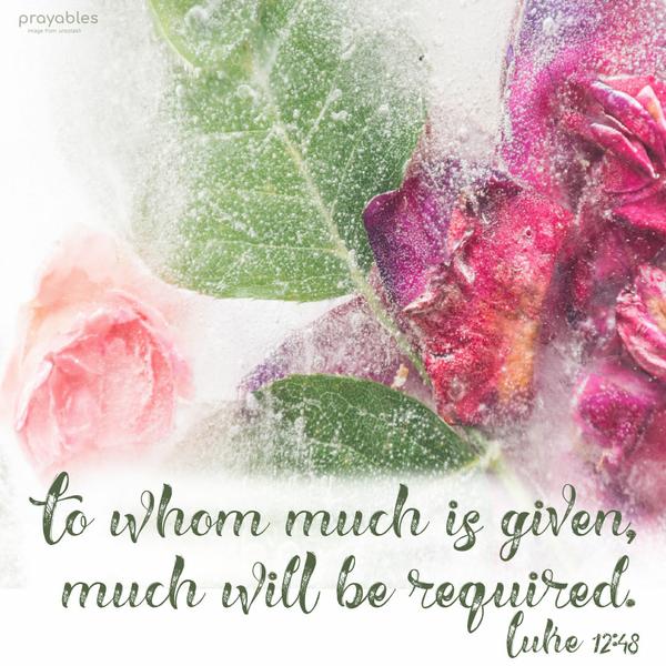 Luke 12:48 To whom much is given, much will be required.