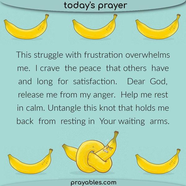 This struggle with frustration overwhelms me. I crave the peace that others have and long for satisfaction. Dear God, release me from my anger. Help me rest
in calm. Untangle this knot that holds me back from resting in Your waiting arms.