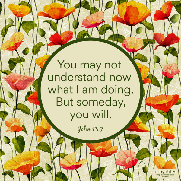 John 13:7 You may not understand now what I am doing. But someday, you will.