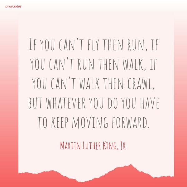 If you can’t fly then run, if you can’t run then walk, if you can’t walk then crawl, but whatever you do you have to keep moving forward. Martin Luther King, Jr.