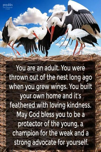 You are an adult. You were thrown out of the nest long ago when you grew wings. You built your own home and it’s feathered with loving kindness. May God bless you to be a protector of the young, a champion for the weak and a strong advocate for yourself.