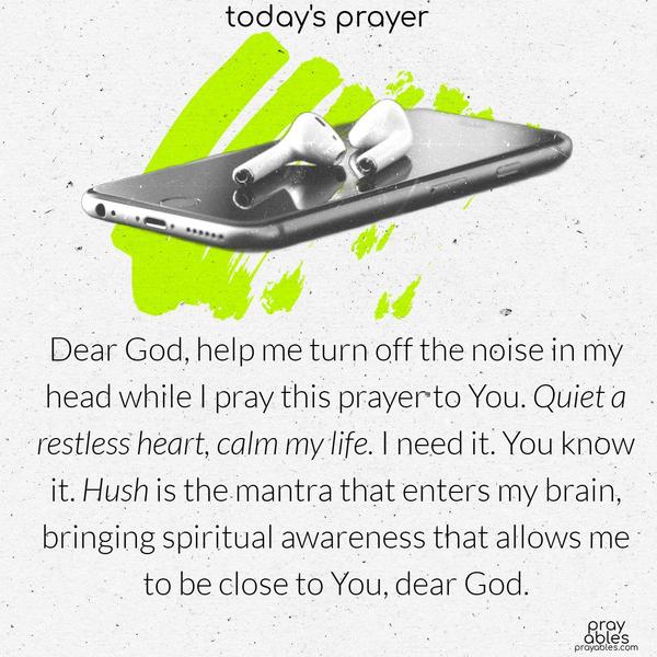 Dear God, help me turn off the noise in my head while I pray this prayer to You. Quiet a restless heart, calm my life. I need it. You know it. Hush is the mantra that enters my brain, bringing spiritual awareness that allows me to be close to You, dear God.