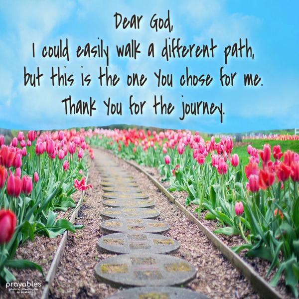 Dear God, I could easily walk a different path, but this is the one You chose for me. Thank You for the journey.