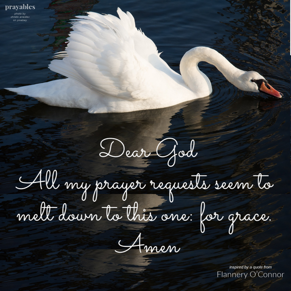 Dear God, All my prayer requests seem to melt down to this one: for grace. Amen