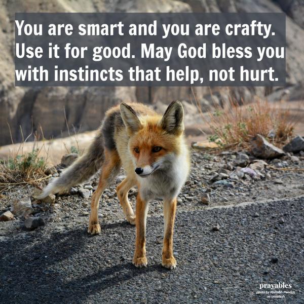 You are smart and you are crafty. Use it for good. May God bless you with instincts that help, not hurt.