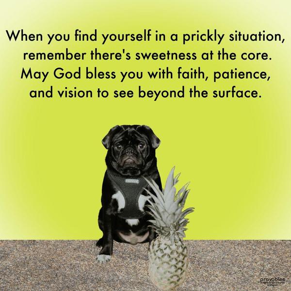 When you find yourself in a prickly situation, remember there’s sweetness at the core. May God bless you with faith, patience, and vision to see beyond the surface.