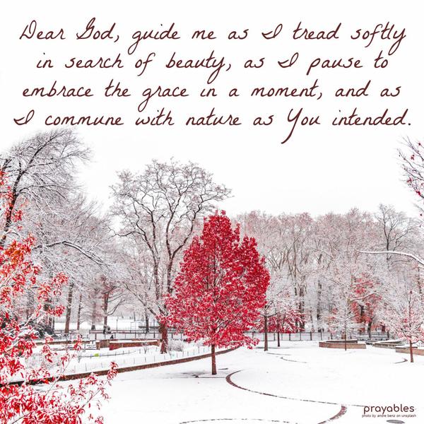 Dear God, guide me as I tread softly in search of beauty, as I pause to embrace the grace in a moment, and as I commune with nature as You intended.