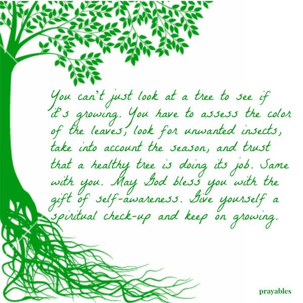 You can’t just look at a tree to see if it’s growing. You have to assess the color of the leaves, look for unwanted insects, take into account the season, and trust that a healthy tree is doing its job.Same with you. May God bless
you with the gift of self-awareness. Give yourself a spiritual check-up and keep on growing.