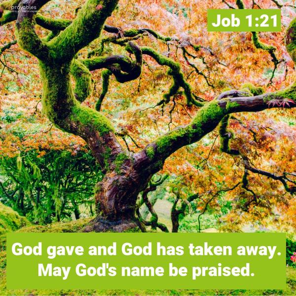 Job 1:21 God gave and God has taken away. May God’s name be praised.