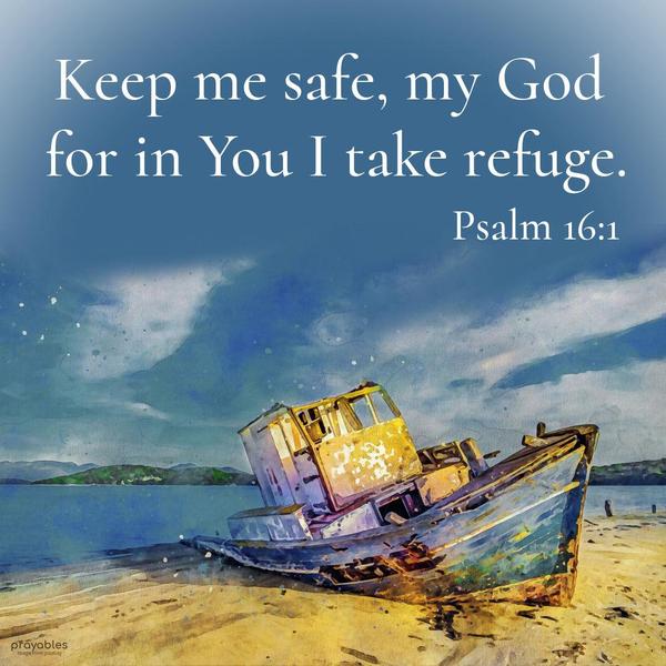 Psalm 16:1 Keep me safe, my God, for in You I take refuge.