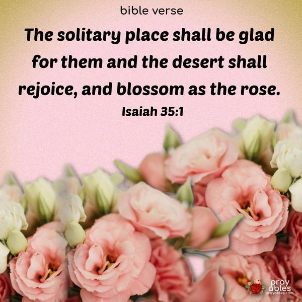 The solitary place shall be glad for them and the desert shall rejoice, and blossom as the rose. Isaiah 35:1