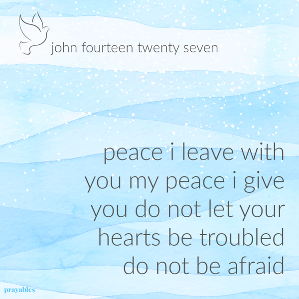 John 14:27 Peace I leave with you. My peace I give to you. Do not let your hearts be troubled. Do not be afraid.