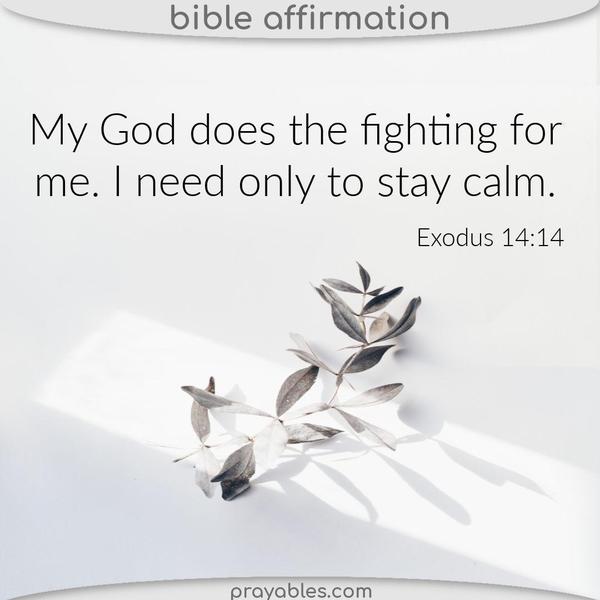 Exodus 14:14 My God does the fighting for me. I need only to stay calm.