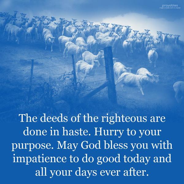 The deeds of the righteous are done in haste. Hurry to your purpose. May God bless you with impatience to do good today and all your days ever after.