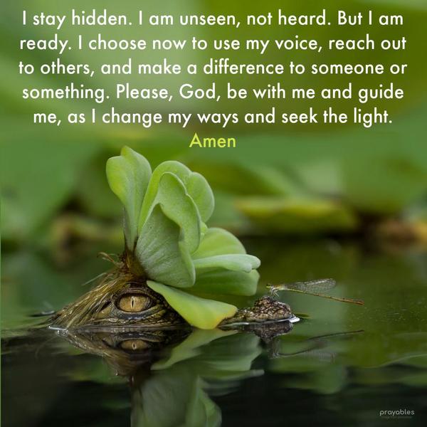 I stay hidden. I am unseen, not heard. But I am ready. I choose now to use my voice, reach out to others, and make a difference to someone or something. Please, God, be with me and guide
me to change my ways and seek the light. Amen